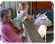 Anna-with-Grandma-Fedel-at-Kensington-petting-zoo-090405.jpg