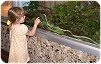 Anna-with-green-snake-at-Detroit-Zoo-082706